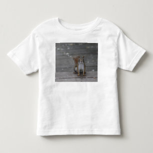 Dikke peuter t-shirt