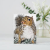 Dikke sneeuw briefkaart (Staand voorkant)