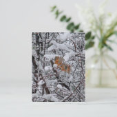 Dikke sneeuwboom briefkaart (Staand voorkant)