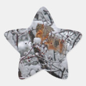 Dikke sneeuwboom ster sticker (Voorkant)