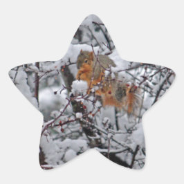 Dikke sneeuwboom ster sticker