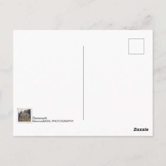 Dikke Viking Denemarken Ansichtkaart! Briefkaart (Achterkant)