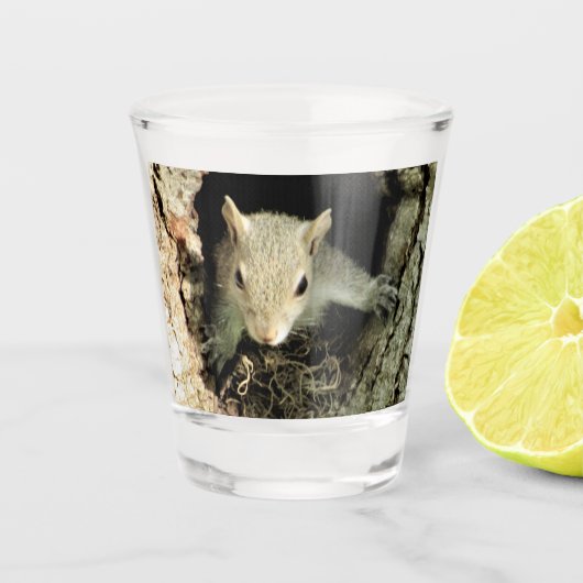 Dikkernest Shot Glass Glas (Voorkant)