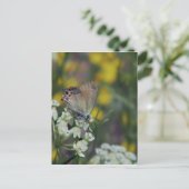 Dikkopvlinder op een bloem briefkaart (Staand voorkant)