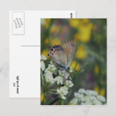 Dikkopvlinder op een bloem briefkaart (Voorkant / Achterkant)