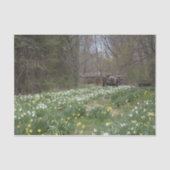 Dilapided Boerderij Building Flower Meadow Tissuepapier (Voorkant)