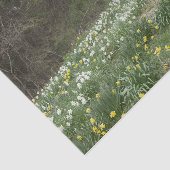 Dilapided Boerderij Building Flower Meadow Tissuepapier (Detail)