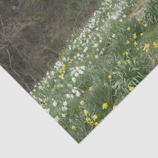 Dilapided Boerderij Building Flower Meadow Tissuepapier (Detail)