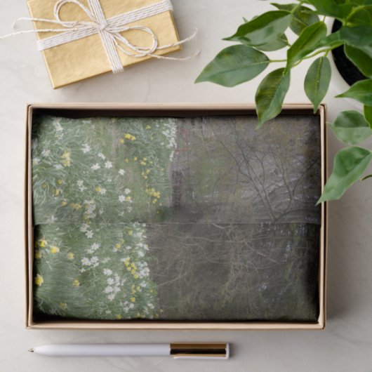 Dilapided Boerderij Building Flower Meadow Tissuepapier (Geschenk)