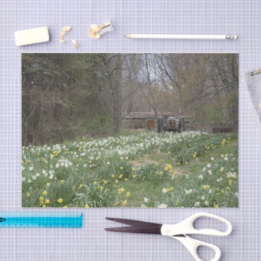 Dilapided Boerderij Building Flower Meadow Tissuepapier (Craft)