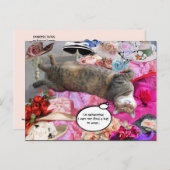 Dilemma van Princess Tatus Cat Briefkaart (Voorkant / Achterkant)