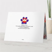 Dilemma van Princess Tatus Cat Kaart (Achterkant)