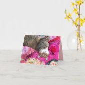 Dilemma van Princess Tatus Cat Kaart (Gele Bloem)