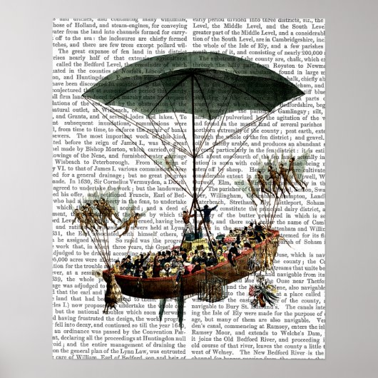 Diligenza en vliegende wezens poster (Voorkant)