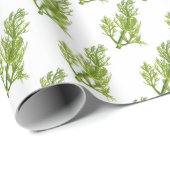 Dill Art Cadeaupapier (Rol Hoek)