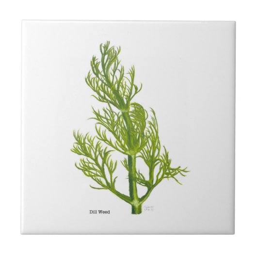 Dill Art Keramiek Tegels Tegeltje (Voorkant)