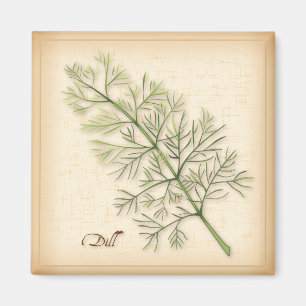 Dill Herb, Dill Weed Magneet