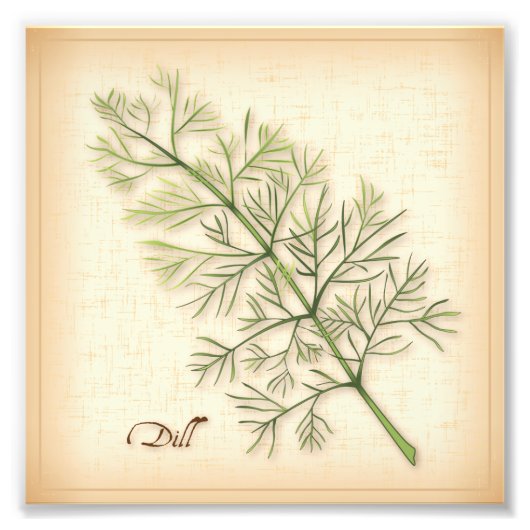 Dill Herb Photo Print Foto Afdruk (Voorkant)
