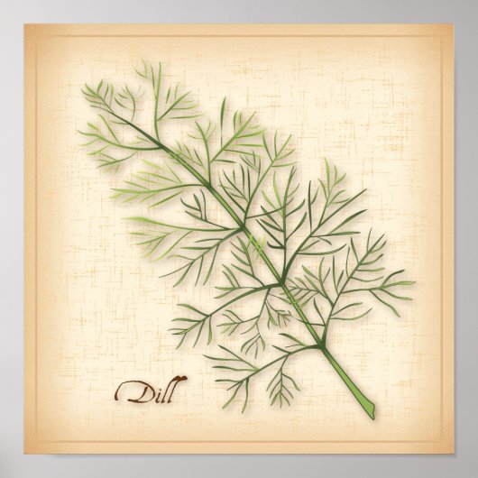 Dill Herb Poster (Voorkant)