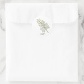 Dill Herb Round Sticker (Tas)