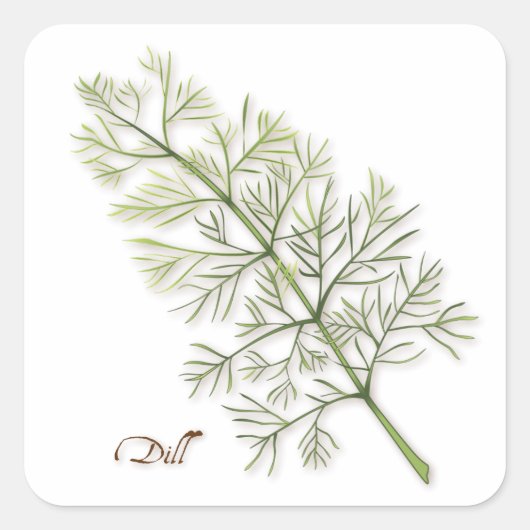 Dill Herb Square Sticker (Voorkant)