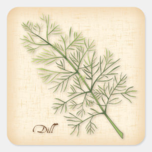 Dill Herb Vierkante Sticker