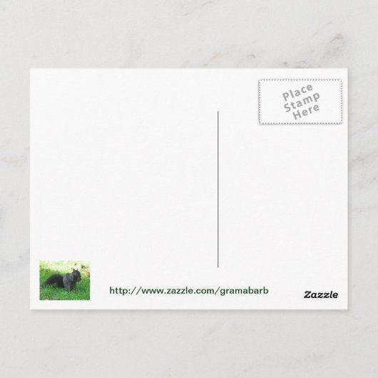 Dill Pickle Recipe Briefkaart (Achterkant)