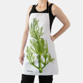 Dill Schort (Insitu)