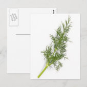 Dill Weed Briefkaart (Voorkant / Achterkant)