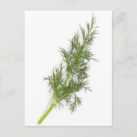 Dill Weed Briefkaart (Voorkant)
