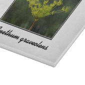 Dill weed delly snijplank (Hoek)