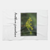 Dill weed delly theedoek (Horizontaal)