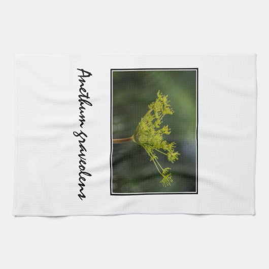 Dill weed delly theedoek (Horizontaal)