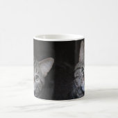 Dillan De Kat Mok (Center)