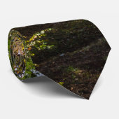 Dillard Mill Countryside Stropdas (Opgerold)