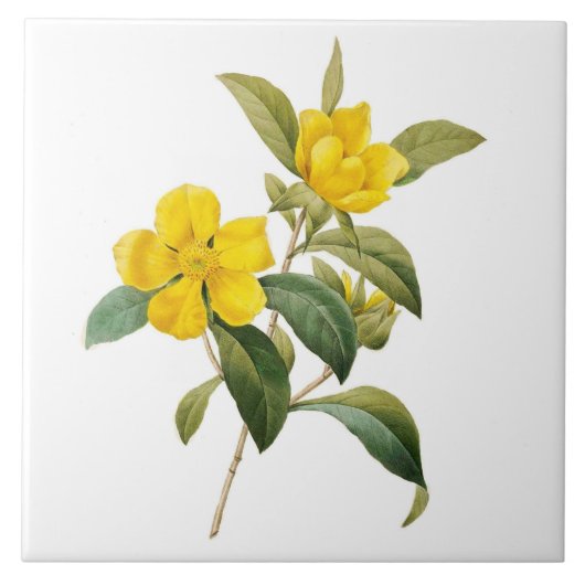 Dillenia Tegeltje (Voorkant)