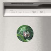 Dilophosaurus dinosaurus in het wild magneet (Insitu (Vaatwasser))