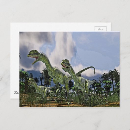 Dilophosaurus run briefkaart (Voorkant / Achterkant)