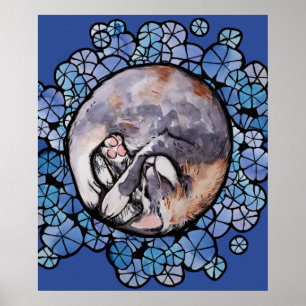 Dilute Calico Cat Cuddles Maine Coon Cats Poster