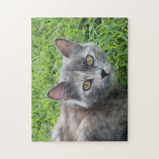 Dilute Gray Tortoiseshel Cat in Grass Legpuzzel (Verticaal)