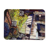 Dimensies van nieuwsgierigheid magneet (Horizontaal)