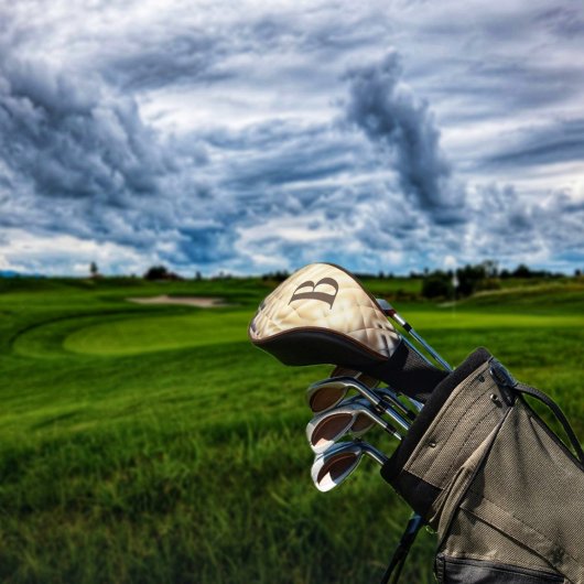 Dimensionaal vierkant-B Golfhoofd Hoesje Golfheadcover