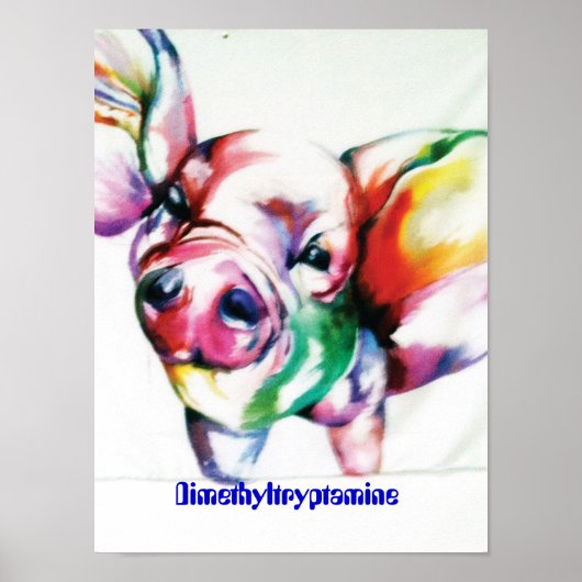 Dimethyltryptamine Poster (Voorkant)