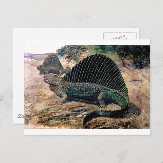 dimetrodon-1 briefkaart (Voorkant / Achterkant)