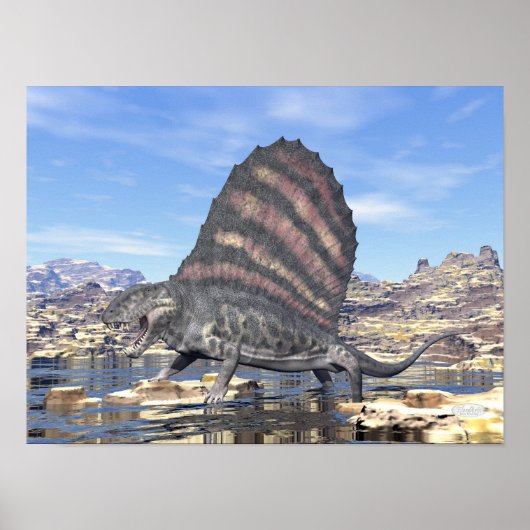 Dimetrodon staat in een vijver in de woestijn poster (Voorkant)