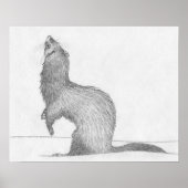 "Dimitri" Ferret Drawing Poster (Voorkant)