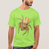 Dimorfe springspin (Maevia inclemens) T-shirt (Voorkant)