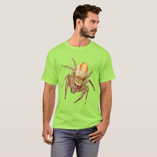 Dimorfe springspin (Maevia inclemens) T-shirt (Voorkant volledig)