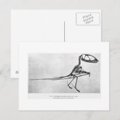 Dimorfodon macronyx art briefkaart (Voorkant / Achterkant)