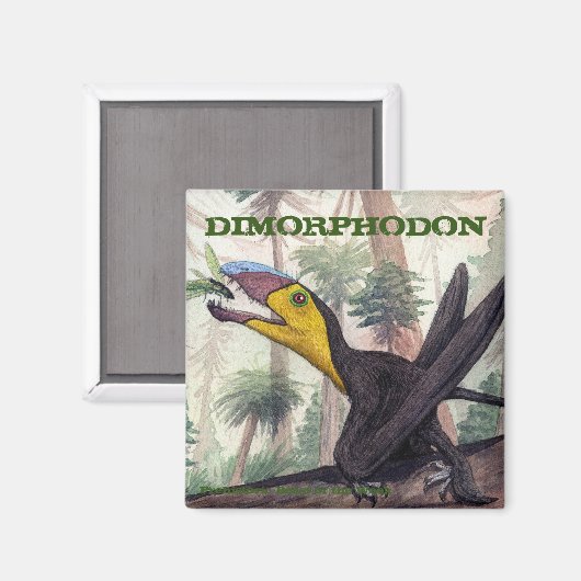 Dimorphodon Magnet (Voorkant / Achterkant)